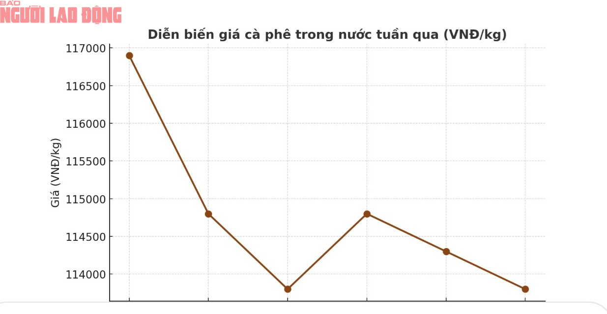 Giá cà phê hôm nay 12-10: Vào vụ giảm, dự báo xuất khẩu 9 tỉ USD - Ảnh 2
