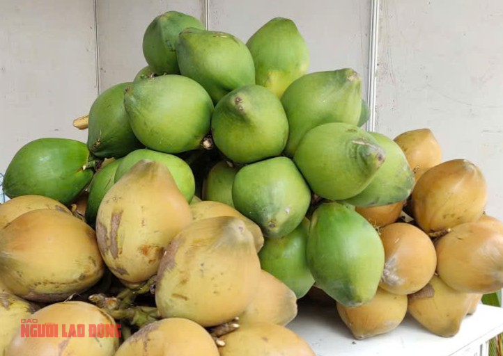 Điều gì khiến giá dừa tươi đột ngột giảm sâu? - Ảnh 1