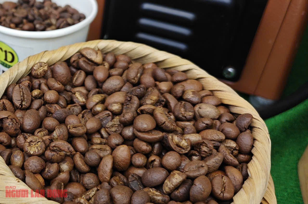 Giá cà phê hôm nay 15-10: Arabica tăng dữ dội - Ảnh 1