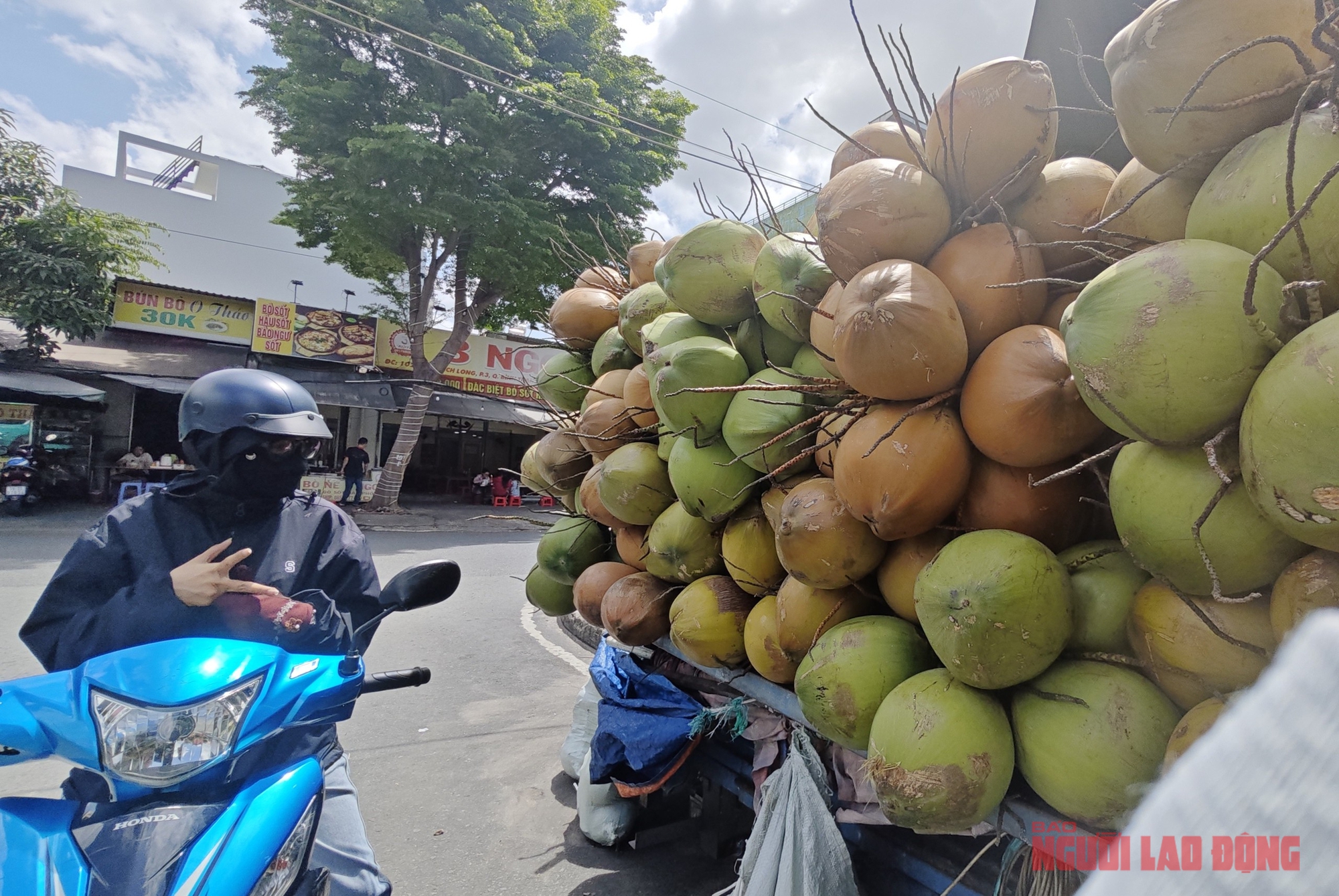 Rõ lý do giá dừa tươi rớt thảm - Ảnh 1