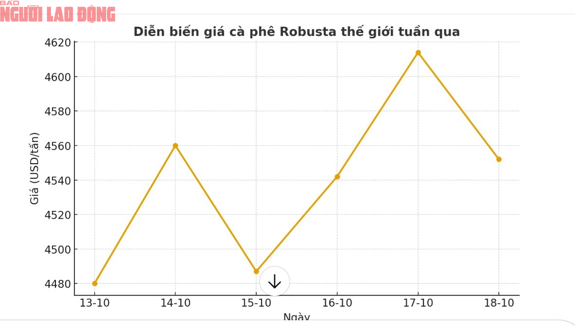 Giá cà phê hôm nay 18-10: Robusta hạ nhiệt - Ảnh 1
