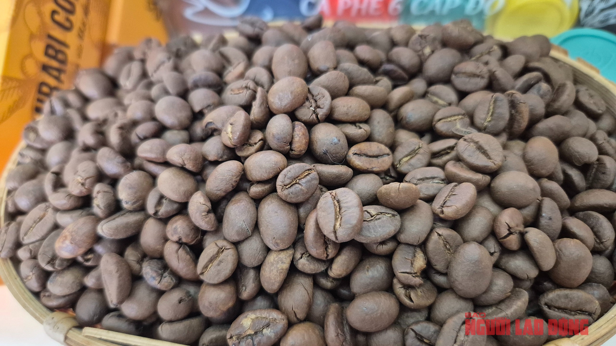 Giá cà phê hôm nay 30-10: Bật tăng cao vút, khắp nơi đua nhau trồng cà phê - Ảnh 1