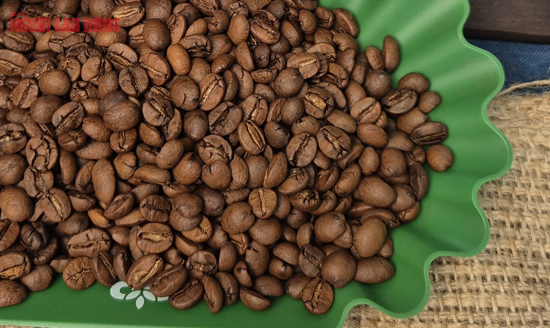 Giá cà phê hôm nay 31-10: Tăng tiếp và cách giữ vị thế số 1 cho cà phê - Ảnh 1