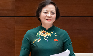 Đề xuất nghỉ Tết Nguyên đán 2026 kéo dài 9 ngày - Ảnh 4