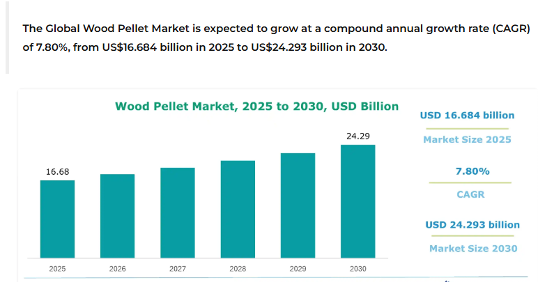 Việt Nam vừa vận hành nhà máy sản xuất 'vàng xanh' quy mô nhất thế giới: Là mặt hàng cả thế giới đều cần, quy mô thị trường hàng chục tỷ USD - Ảnh 3