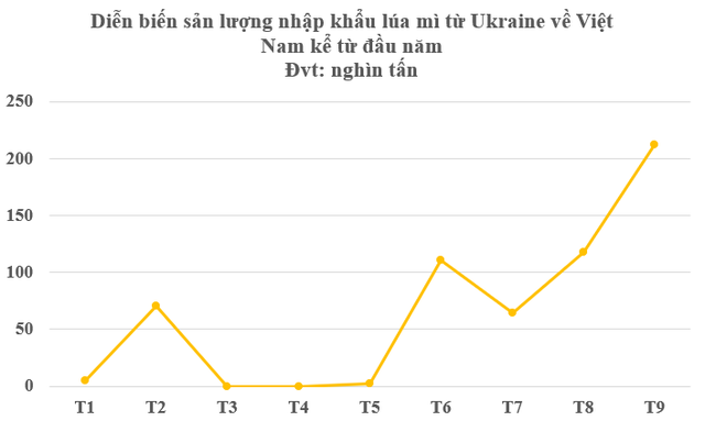 Ukraine bất ngờ đưa hàng trăm tấn hàng vào Việt Nam chỉ trong 1 tháng: Thuế nhập khẩu 0%, nước ta đứng top tiêu thụ trên thế giới - Ảnh 3