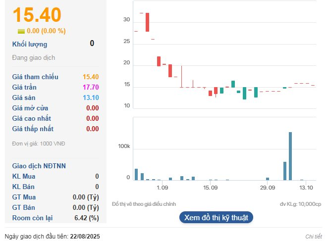 Công ty bán nhiều xe MG nhất Việt Nam: Lãi quý 3 giảm 99% còn chưa tới 400 triệu đồng - Ảnh 3