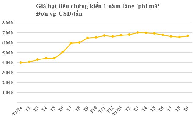Một mặt hàng của Việt Nam đang làm mưa làm gió tại Mỹ: Chiếm thị phần bằng các đối thủ cộng lại, thế giới ngày càng khan hiếm - Ảnh 2
