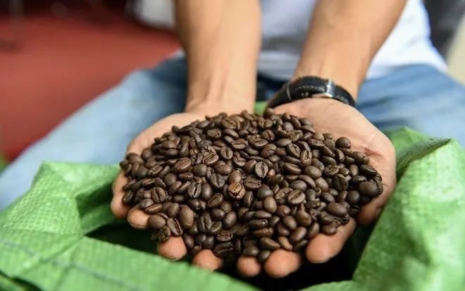 Một mặt hàng của Việt Nam lập kỷ lục thu về gần 7 tỷ USD, hơn 80 quốc gia ồ ạt chốt đơn - Ảnh 2