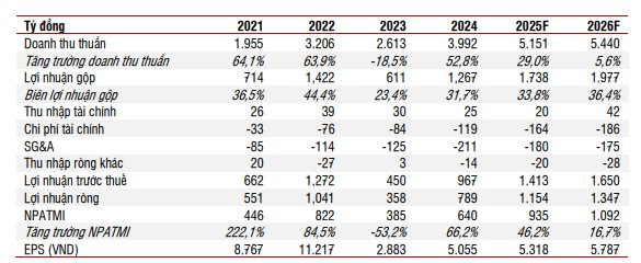 Cổ phiếu công ty sở hữu đội tàu container lớn nhất Việt Nam bất ngờ tăng "dựng đứng" trước thềm họp ĐHCĐ bất thường - Ảnh 2