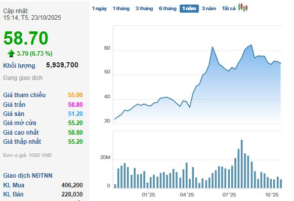 Cổ phiếu công ty sở hữu đội tàu container lớn nhất Việt Nam bất ngờ tăng "dựng đứng" trước thềm họp ĐHCĐ bất thường - Ảnh 1