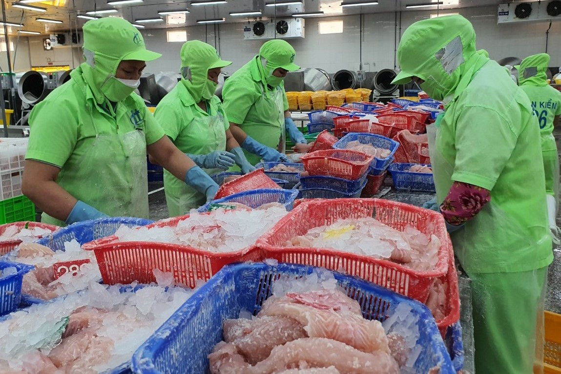 Xuất hiện thị trường trọng điểm mới của cá tra Việt - Ảnh 1