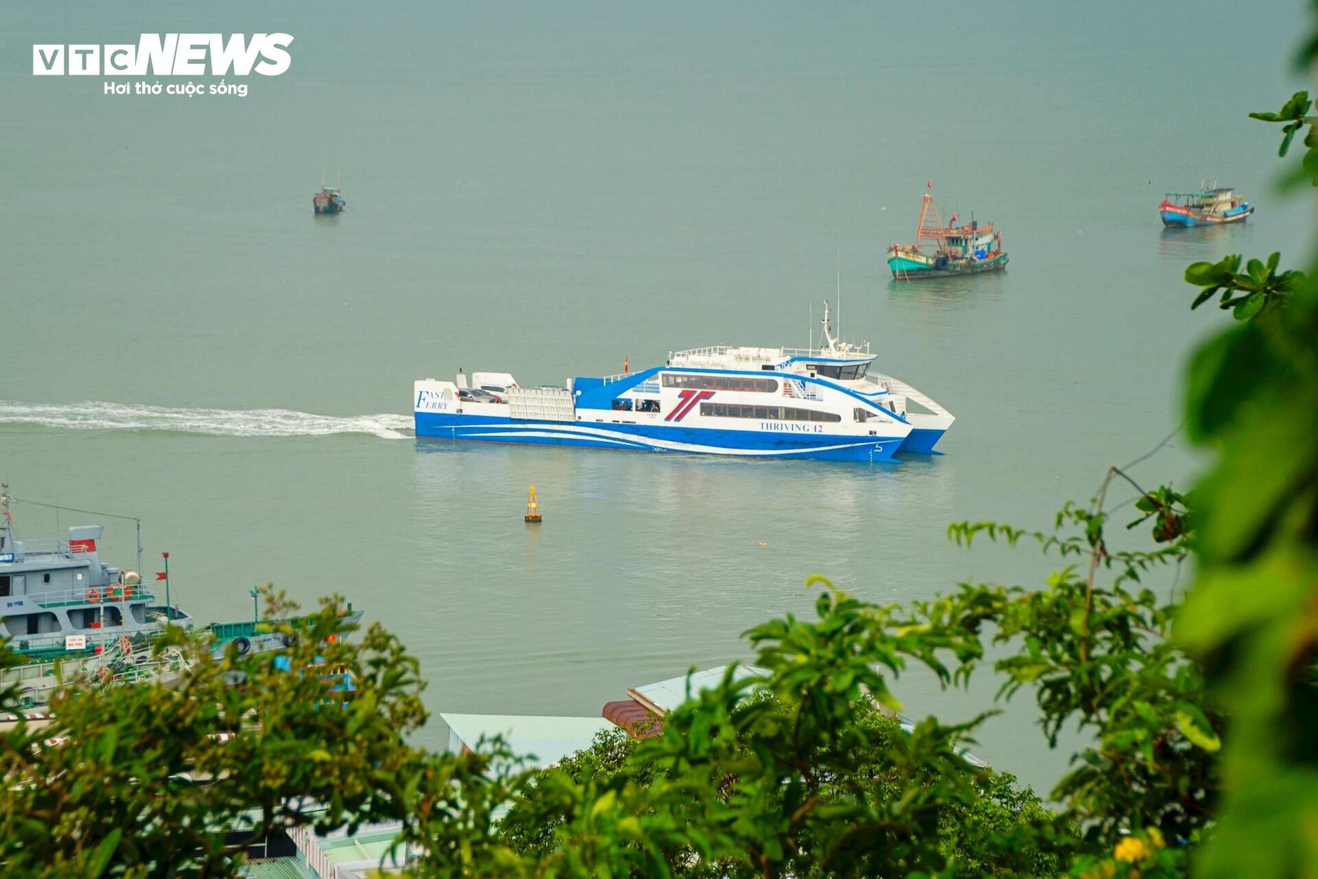 Toàn cảnh vị trí dự kiến xây đường vượt biển TP.HCM - Ảnh 5