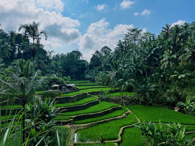 Cảnh tượng ngay lúc này tại "thiên đường nghỉ dưỡng Đông Nam Á", nhiều người lắc đầu: Quá đáng tiếc! - Ảnh 12