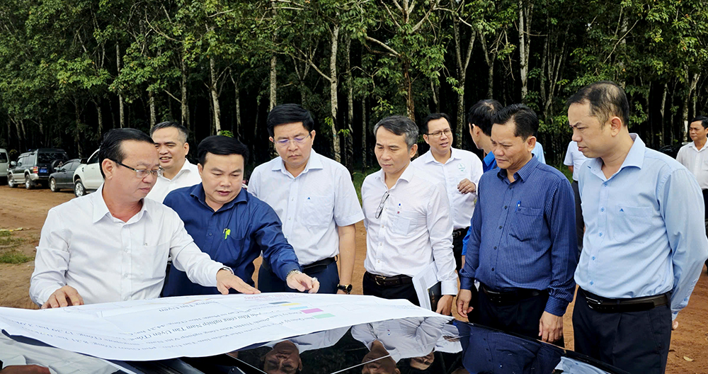 Diễn biến mới về dự án đường Vành đai dài 48km, do Becamex, Đèo Cả làm chủ đầu tư - Ảnh 1