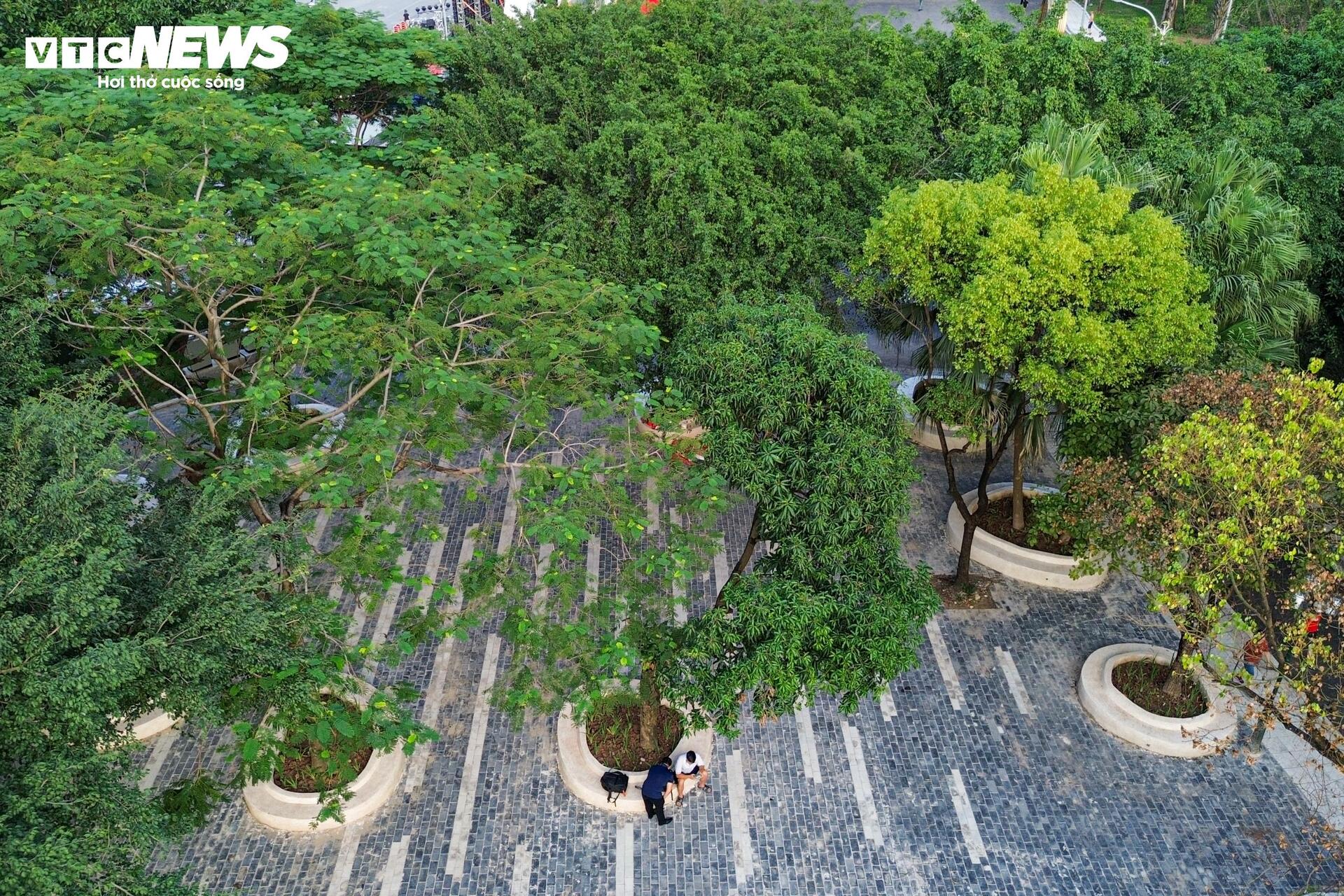 Được đầu tư cải tạo 66 tỷ đồng, công viên ở Hà Nội khang trang, khác lạ - Ảnh 14