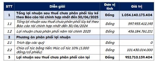ĐHĐCĐ Coteccons 2025: Dự kiến chia cổ tức bằng tiền - tỷ lệ 10% - Ảnh 2