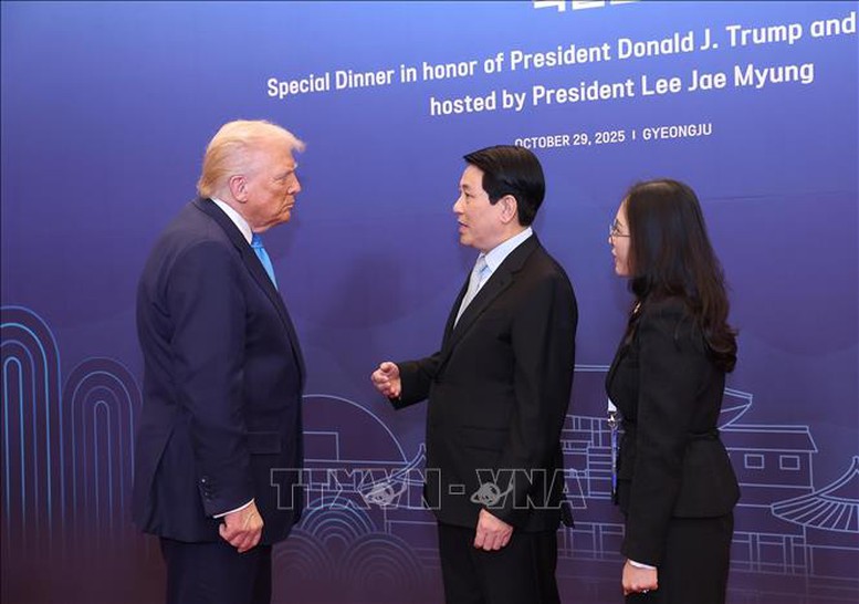 Chủ tịch nước Lương Cường gặp Tổng thống Hoa Kỳ Donald Trump - Ảnh 1