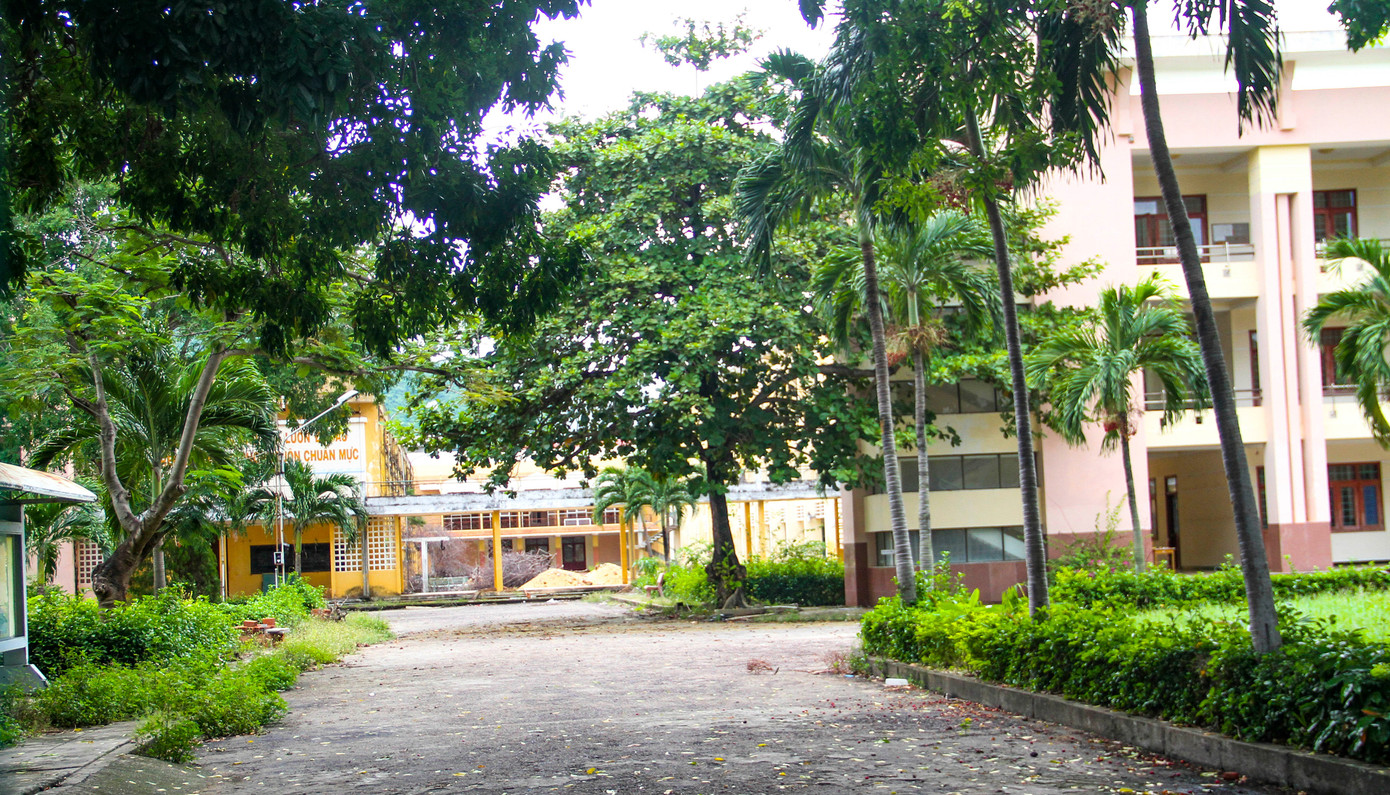 Hiện trạng khu 'đất vàng’ ven biển Gia Lai được đưa ra đấu giá - Ảnh 5