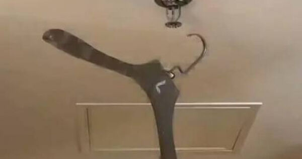 Treo móc áo lên trần nhà kích hoạt hệ thống gây ngập lụt khách sạn, du khách bị đòi bồi thường 600 triệu - Ảnh 1