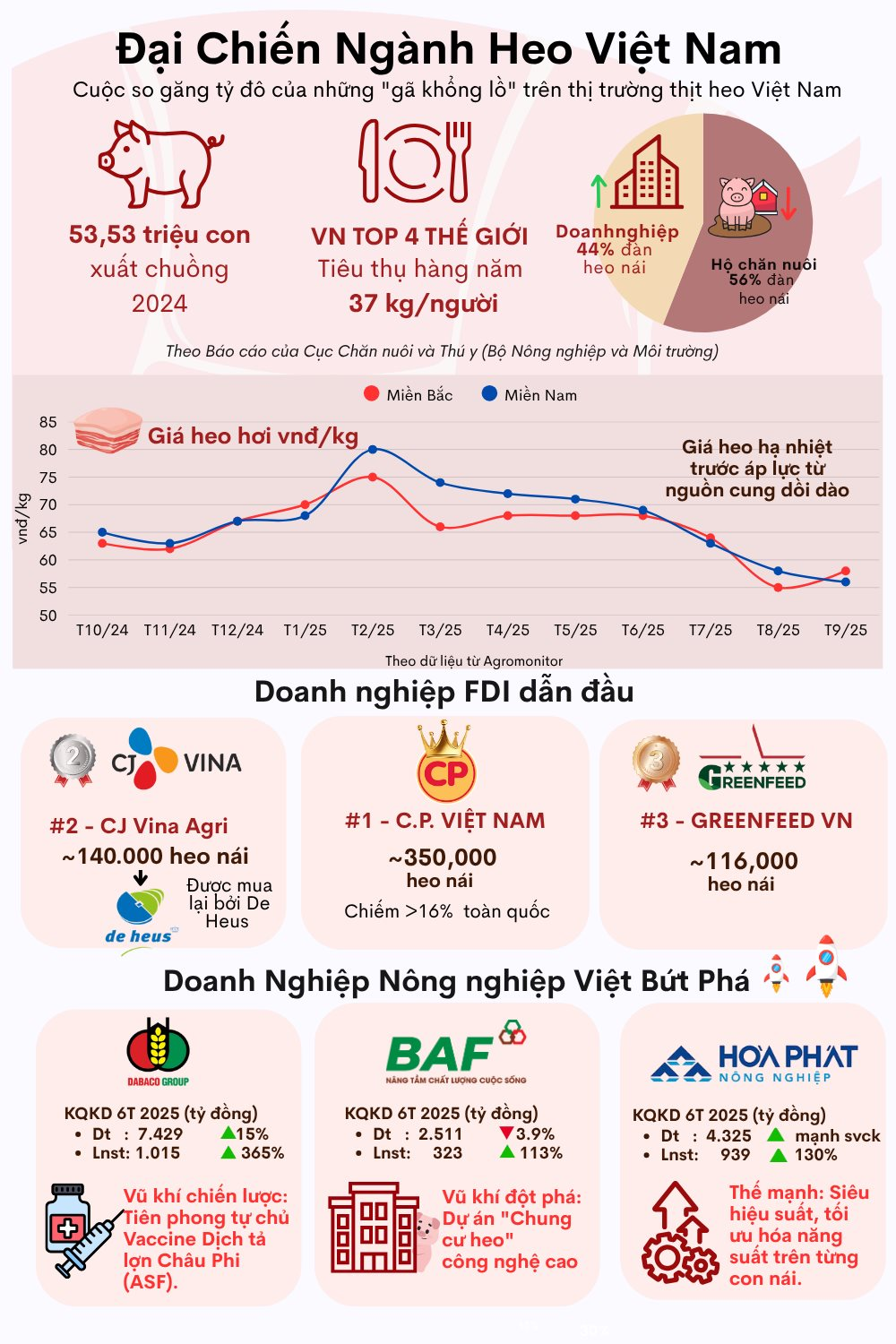 Đại chiến ngành heo tỷ đô: CP, CJ đối đầu với tham vọng lớn chưa từng có của Hòa Phát, Dabaco, BAF - Ảnh 2