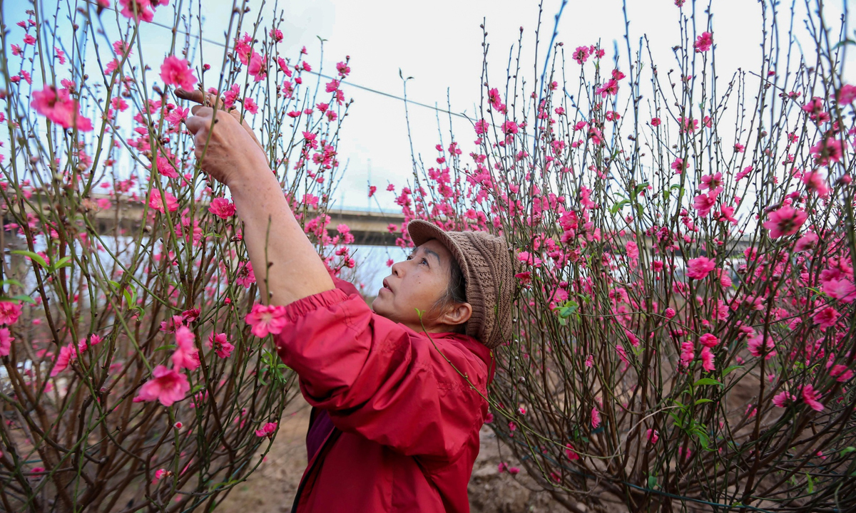 Đề xuất nghỉ Tết Nguyên đán 2026 kéo dài 9 ngày - Ảnh 1