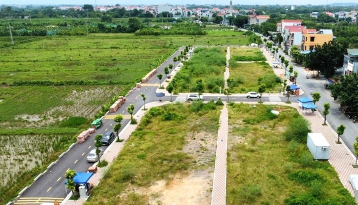 Thị trường đất đấu giá hạ nhiệt sau cơn sốt điên cuồng hơn 1 năm trước - Ảnh 2