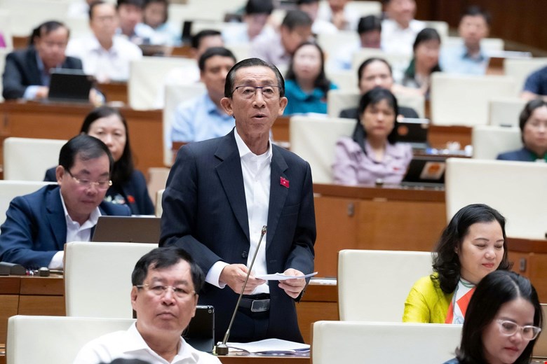 Đại biểu Trần Hoàng Ngân: Sớm trình gói tài chính khẩn cấp khắc phục hậu quả bão lũ - Ảnh 2