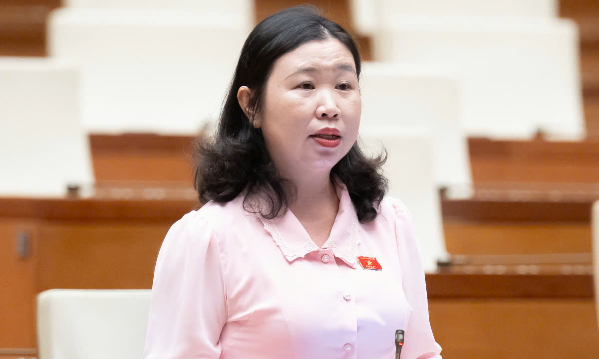 Vụ Vạn Thịnh Phát khối lượng công việc lớn, giám định 3 tháng là 'bất khả thi' - Ảnh 1