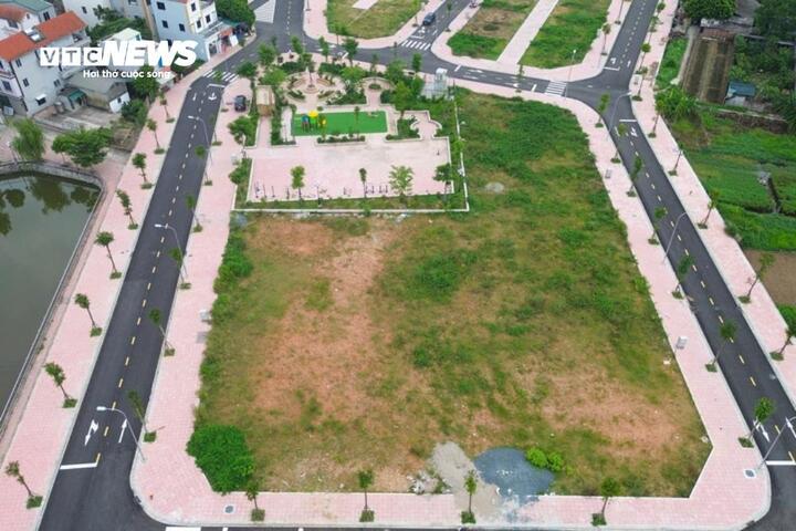 Thị trường đất đấu giá hạ nhiệt sau cơn sốt điên cuồng hơn 1 năm trước - Ảnh 1