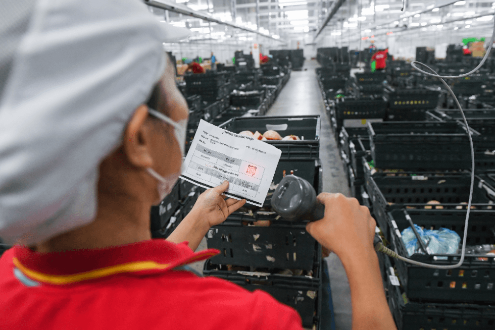 Từ Việt Nam nhìn ra thế giới: Cách Masan sử dụng dữ liệu để giảm 13% chi phí trên mỗi sản phẩm, so găng Walmart - Ảnh 2