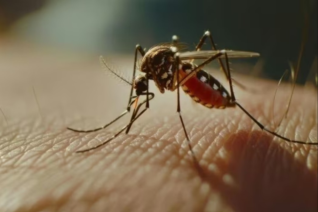 Loại virus khiến Trung Quốc phải kích hoạt kiểm soát dịch như thời Covid-19 đã xuất hiện ở quốc gia khác - Ảnh 3