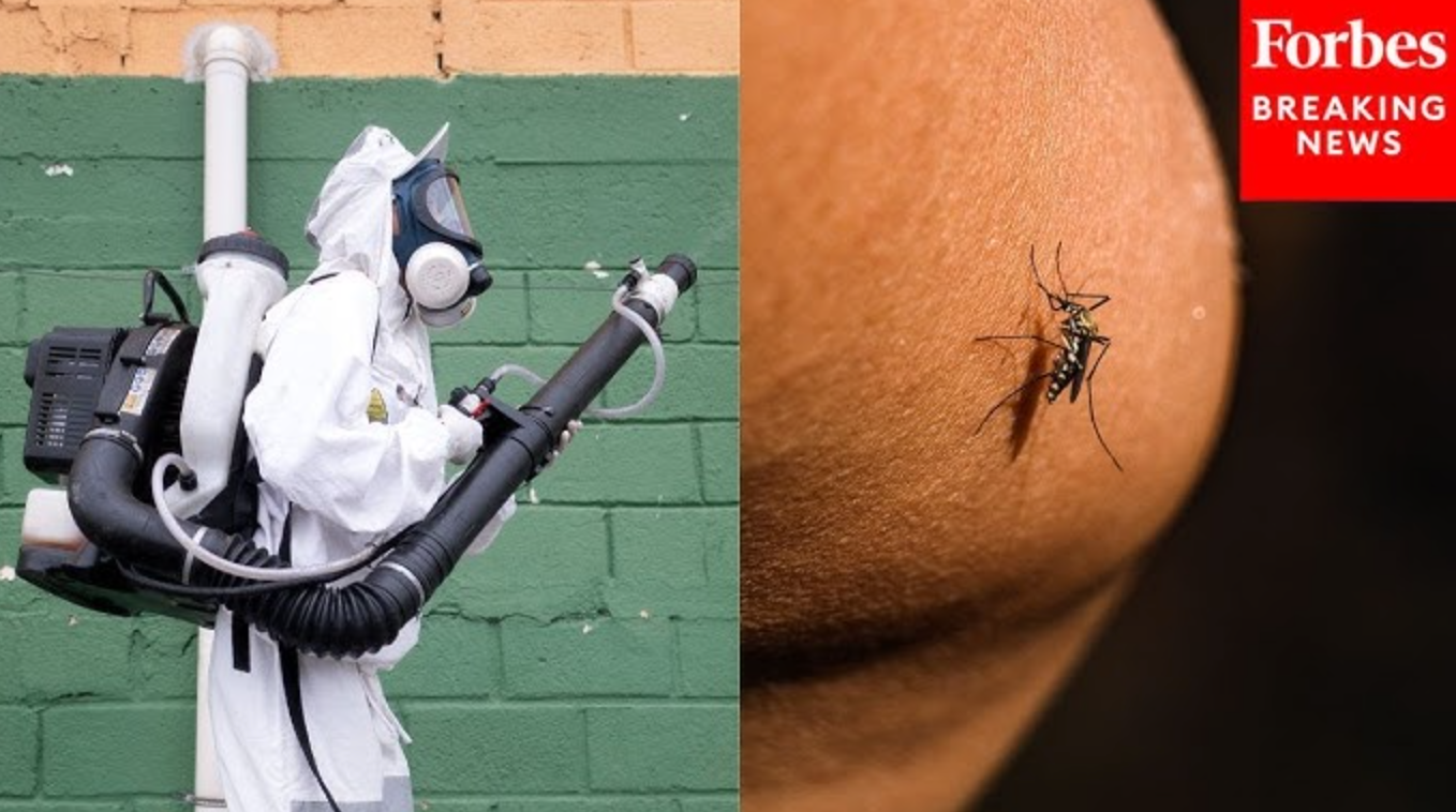 Loại virus khiến Trung Quốc phải kích hoạt kiểm soát dịch như thời Covid-19 đã xuất hiện ở quốc gia khác - Ảnh 1