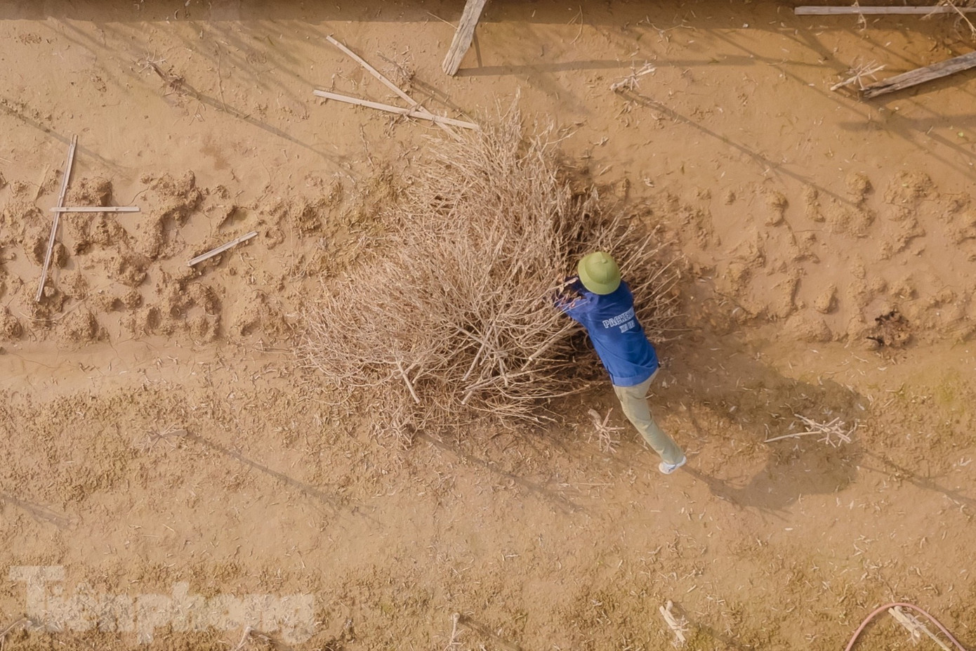 Đào Nhật Tân chết khô chết héo - Ảnh 10