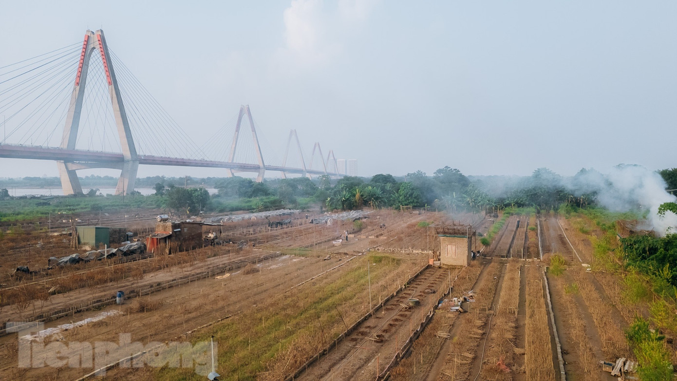 Đào Nhật Tân chết khô chết héo - Ảnh 11