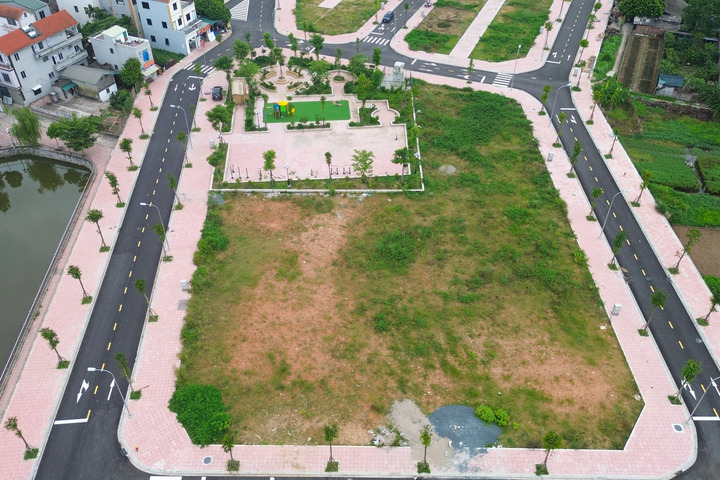 Có nên nâng tiền đặt cọc đấu giá đất lên 50% mức khởi điểm? - Ảnh 2