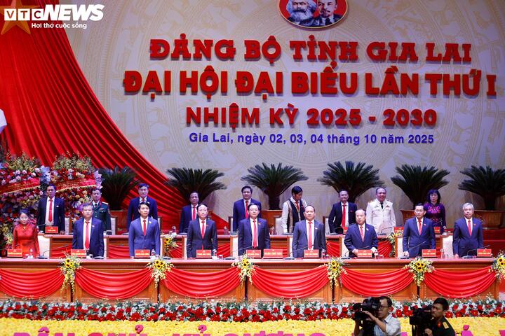 Con số thu hút đầu tư ấn tượng của tỉnh Gia Lai trong 5 năm - Ảnh 4