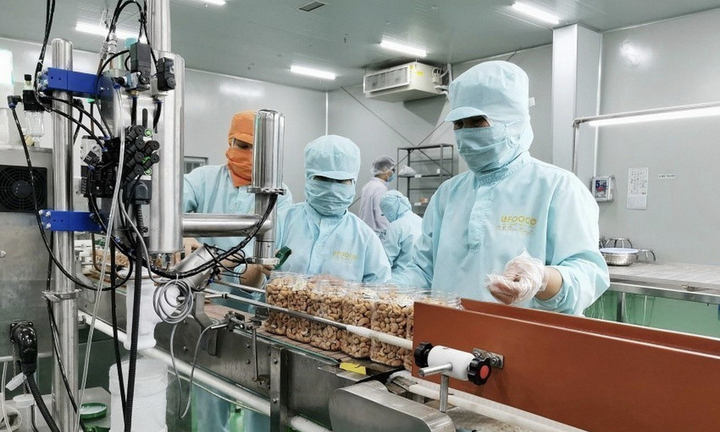 Thủ tướng yêu cầu doanh nghiệp Nhà nước báo cáo kết quả hoạt động 3 quý đầu năm - Ảnh 1