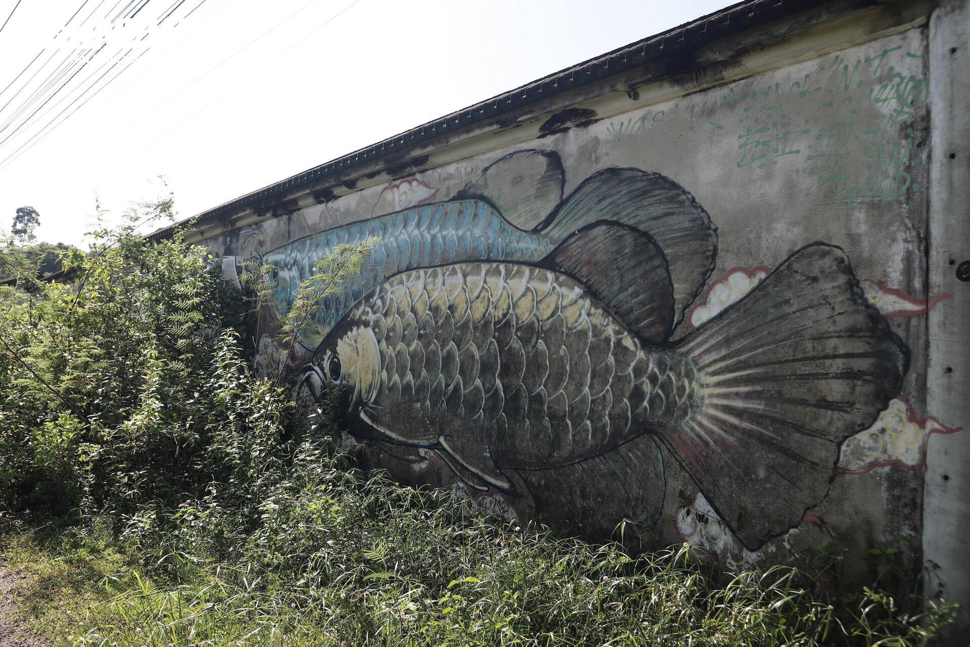 Dự án khu du lịch 5 sao hơn 100 tỷ hoang lạnh giữa rừng cỏ dại ở Huế - Ảnh 7