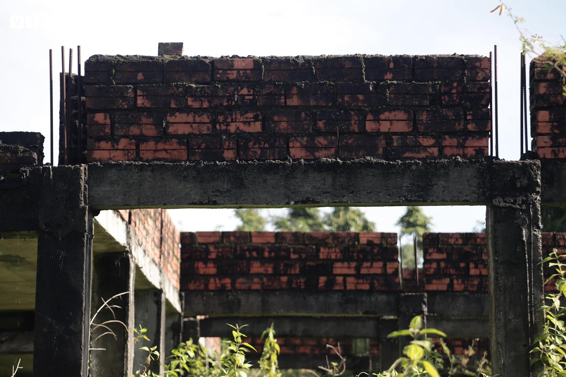 Dự án khu du lịch 5 sao hơn 100 tỷ hoang lạnh giữa rừng cỏ dại ở Huế - Ảnh 2