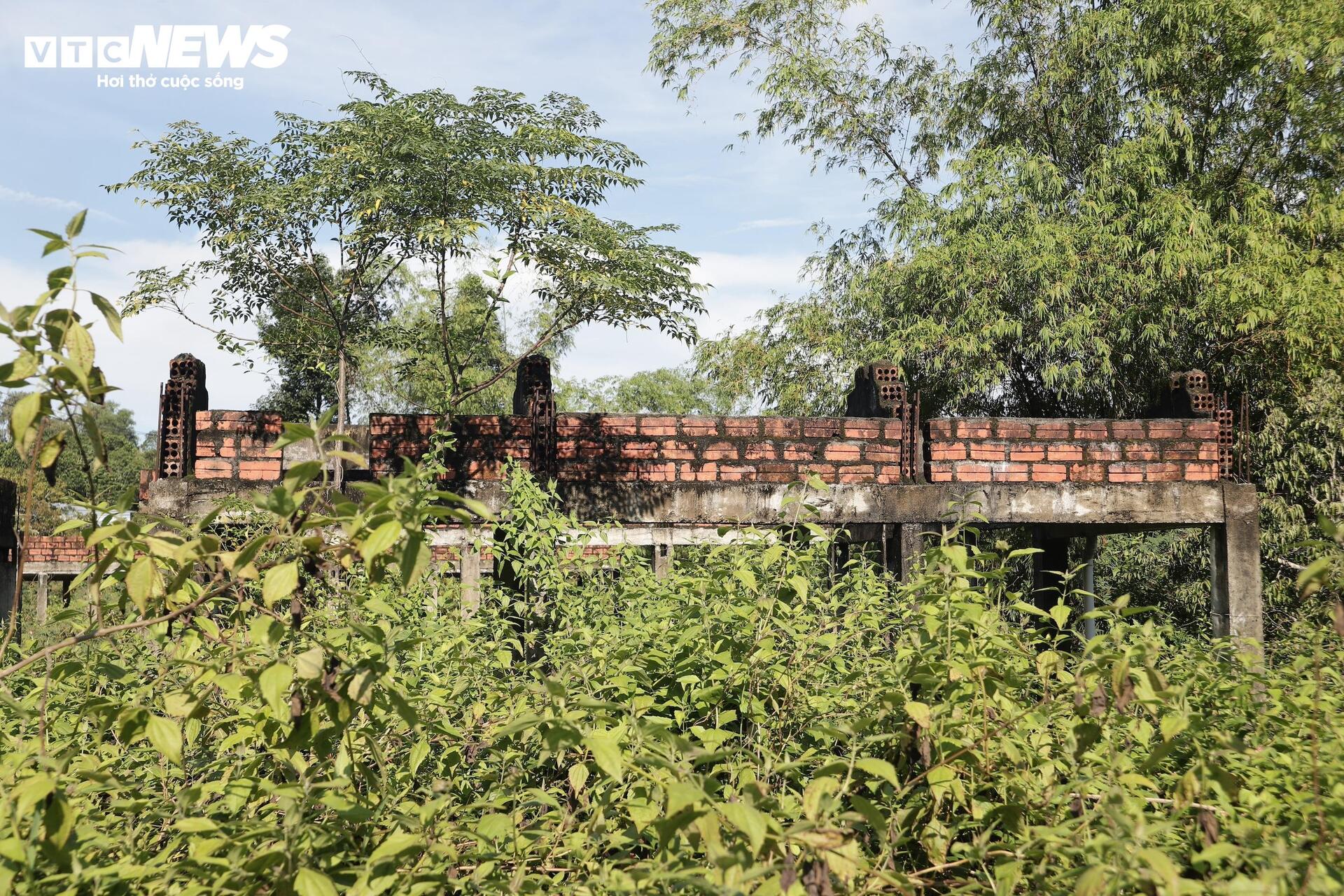 Dự án khu du lịch 5 sao hơn 100 tỷ hoang lạnh giữa rừng cỏ dại ở Huế - Ảnh 6