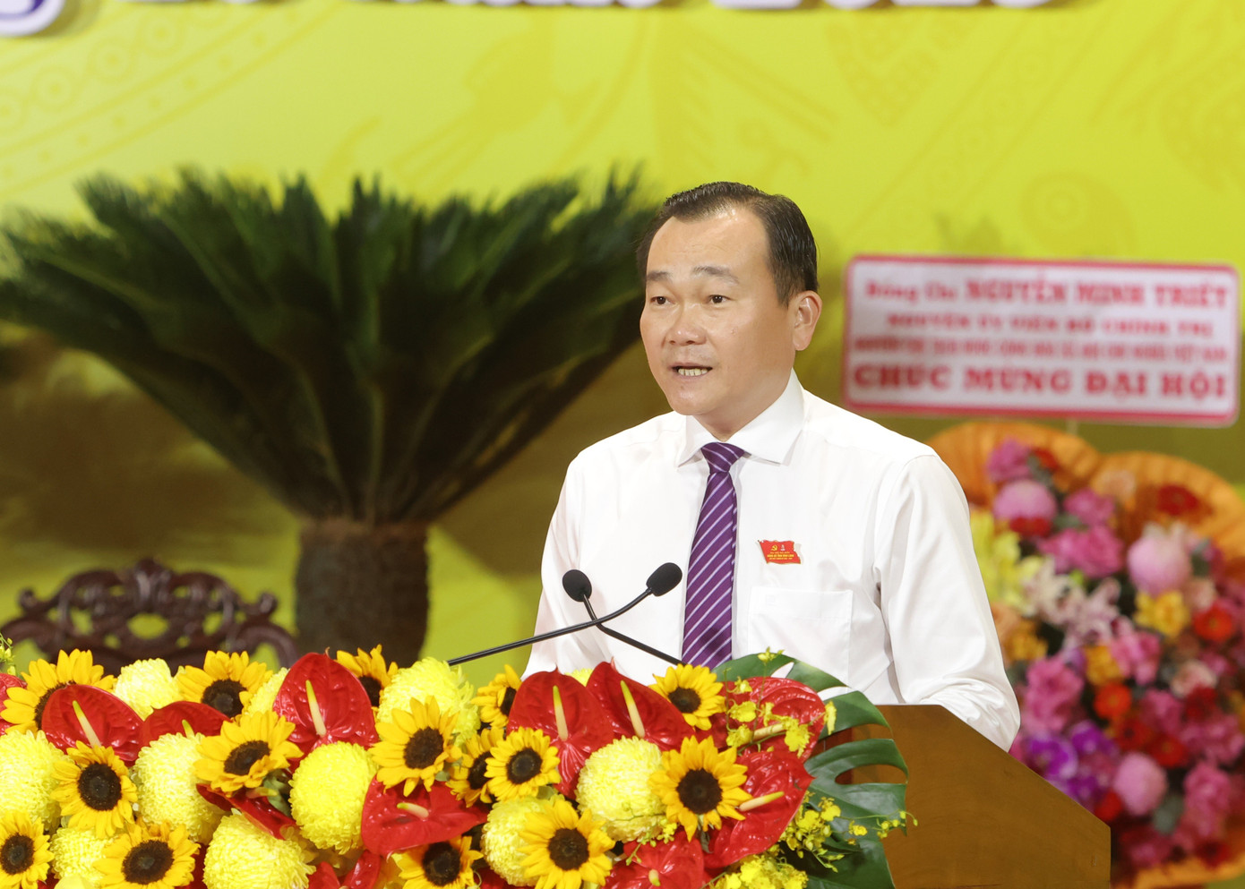 Vĩnh Long phấn đấu thành trung tâm kinh tế biển, trung tâm sản xuất năng lượng tái tạo - Ảnh 1