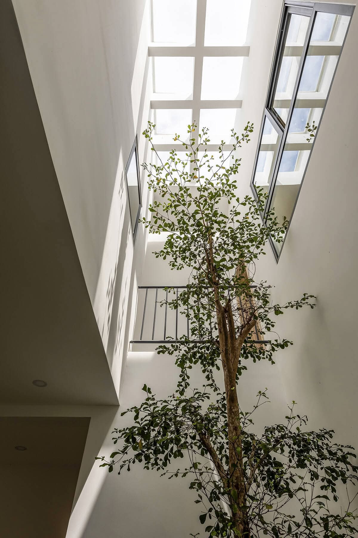 Căn nhà 170m2 với hình thức lạ mắt - Ảnh 9