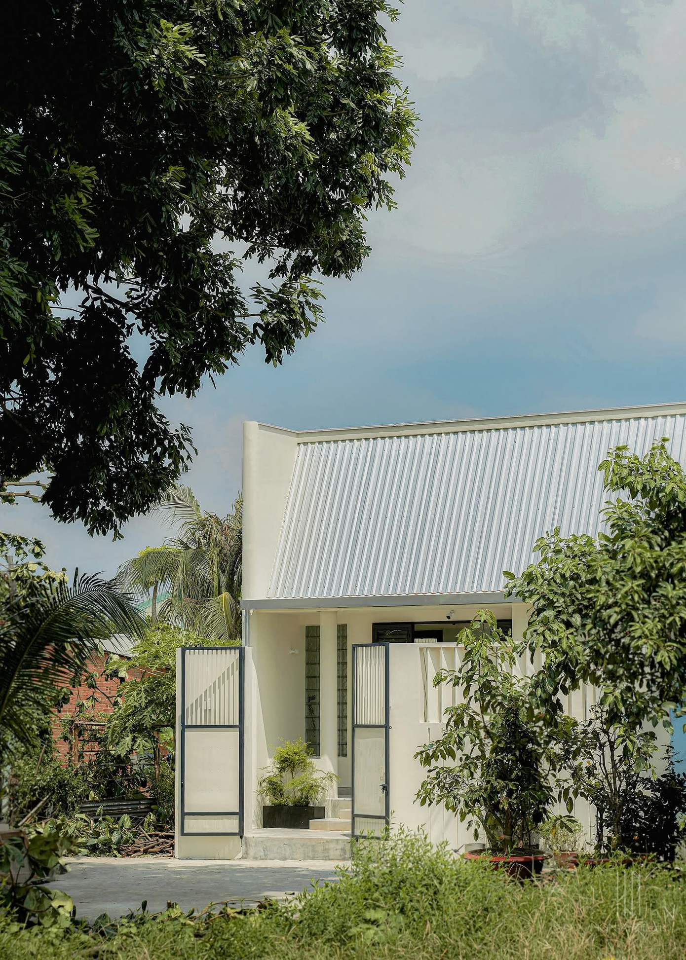 Nhà 85m2 có sân vườn lấy ánh sáng - Ảnh 4