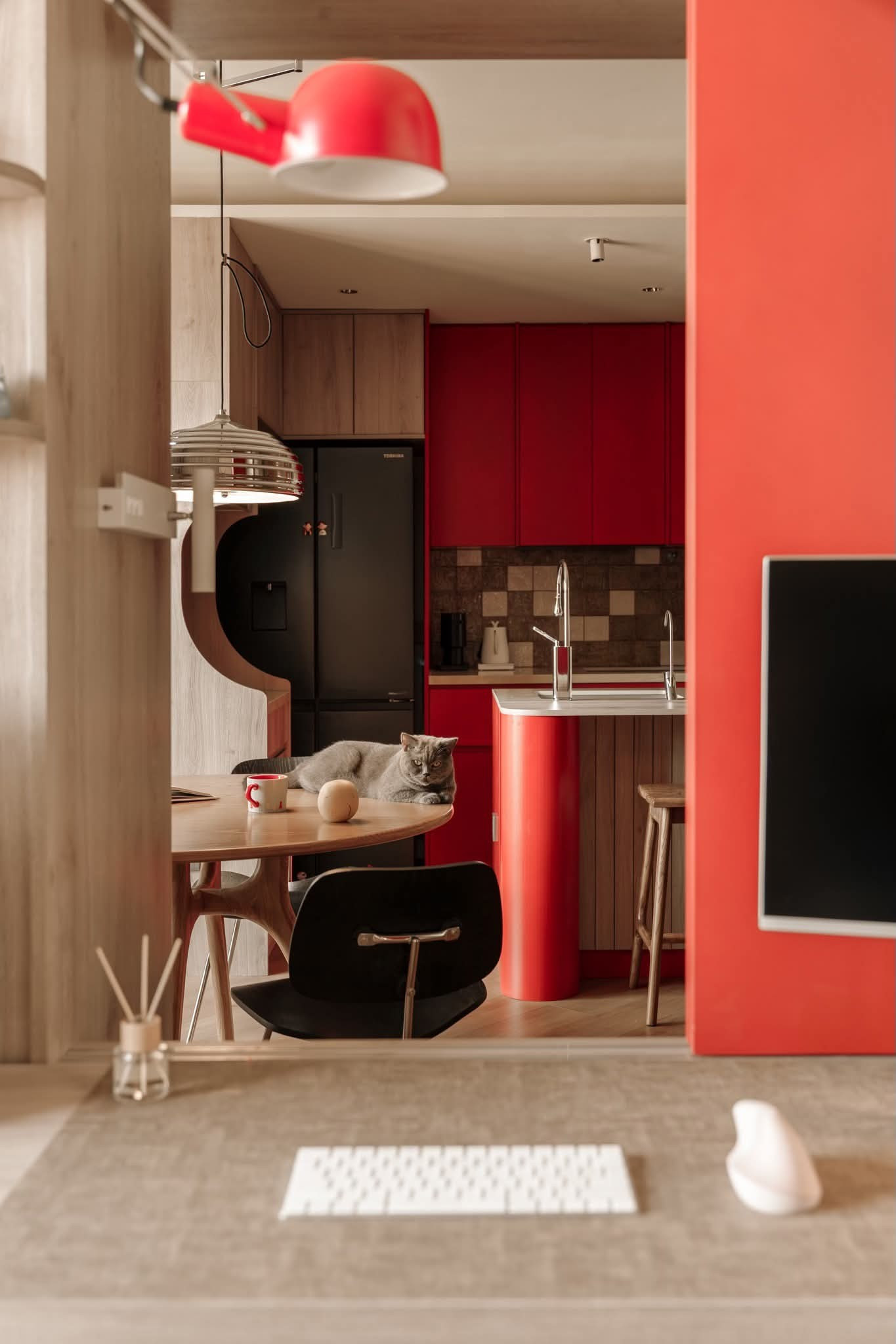 Căn hộ nhỏ 'chơi' màu khác biệt tạo nên không gian ấn tượng - Ảnh 4