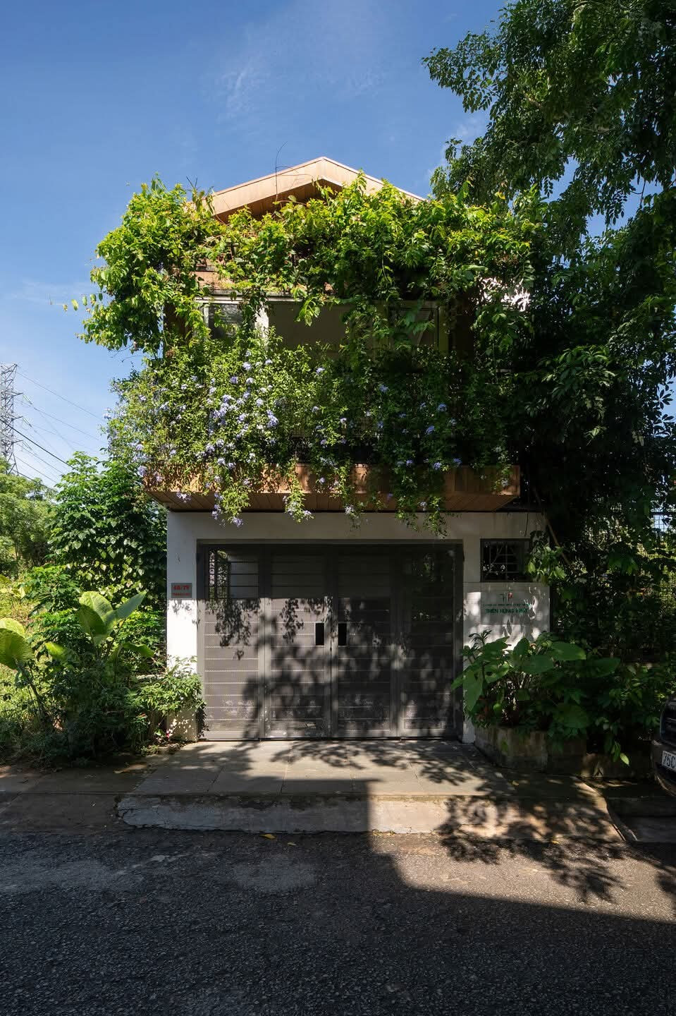 Nhà phố thiết kế mở ngập tràn cây xanh - Ảnh 1