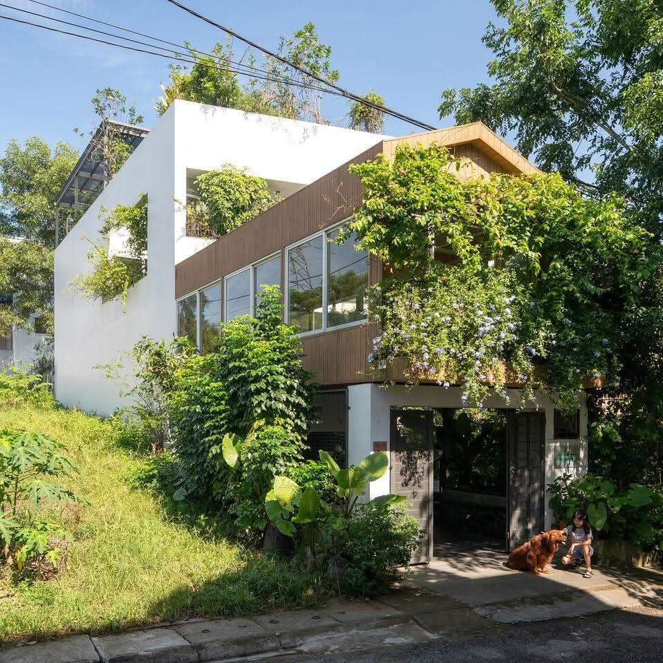 Nhà phố thiết kế mở ngập tràn cây xanh - Ảnh 2