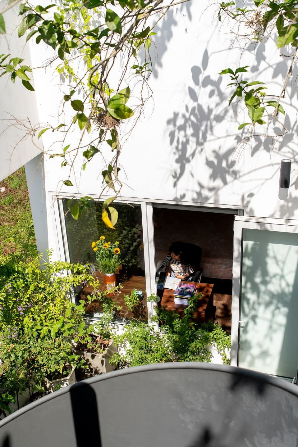 Nhà phố thiết kế mở ngập tràn cây xanh - Ảnh 7