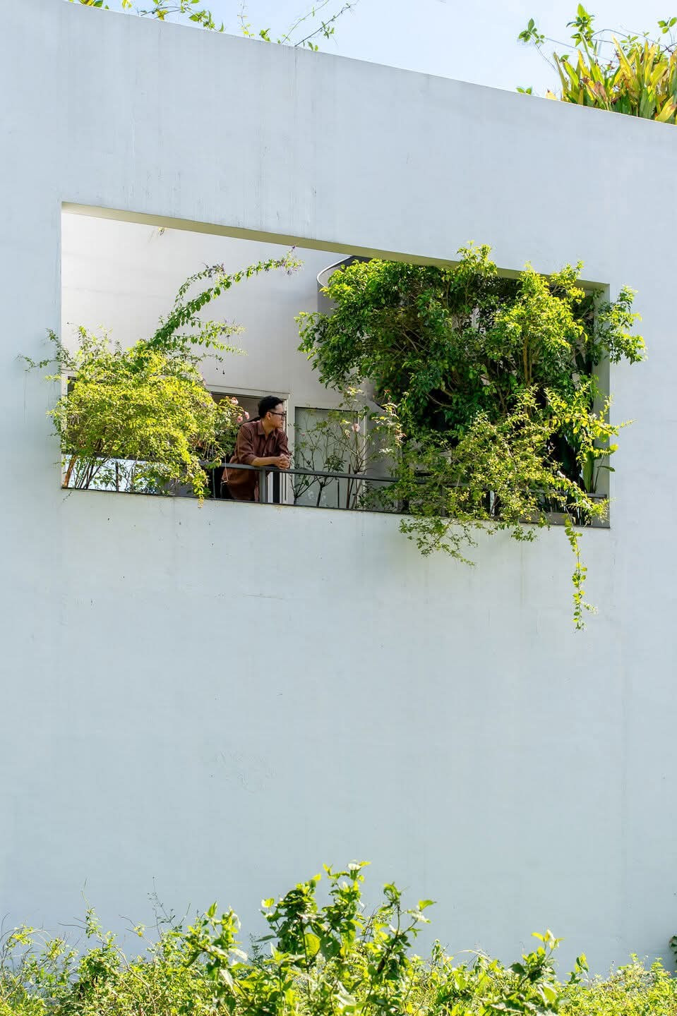 Nhà phố thiết kế mở ngập tràn cây xanh - Ảnh 6