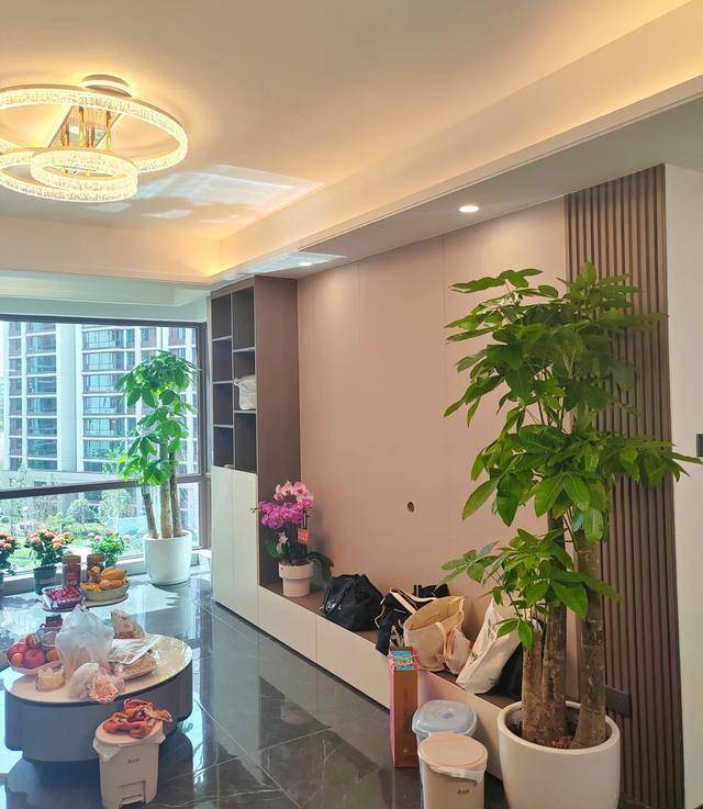 “Trong nhà có một cây, cả nhà ấm no": 5 loại cây nội thất đẹp, dễ sống, tăng sinh khí cho tổ ấm - Ảnh 1